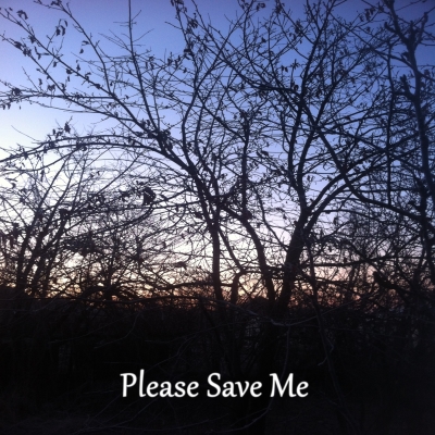 Please Save Me