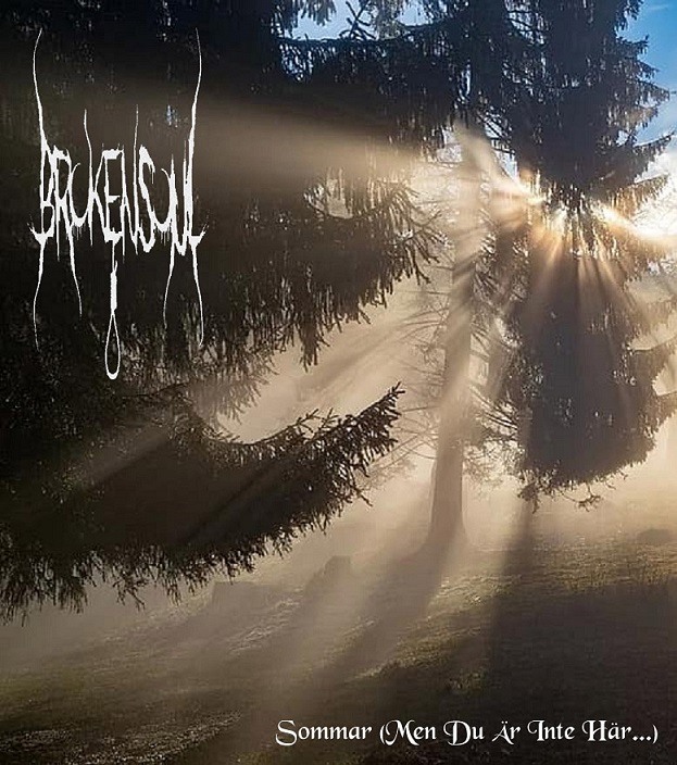 Sommar (Men du är inte här...)