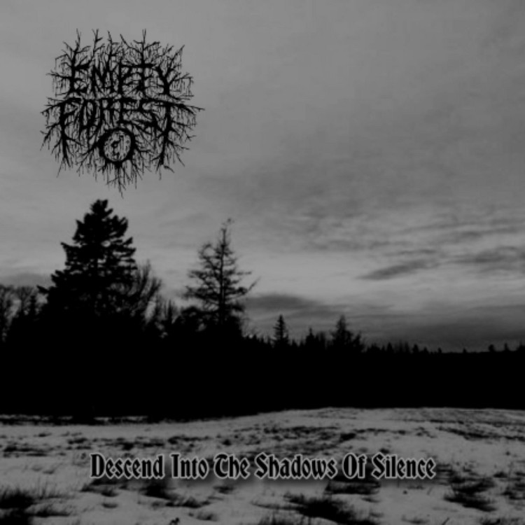 Descend into the Shadows of Silence
