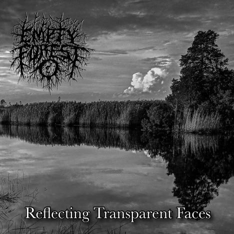 Reflecting Transparent Faces