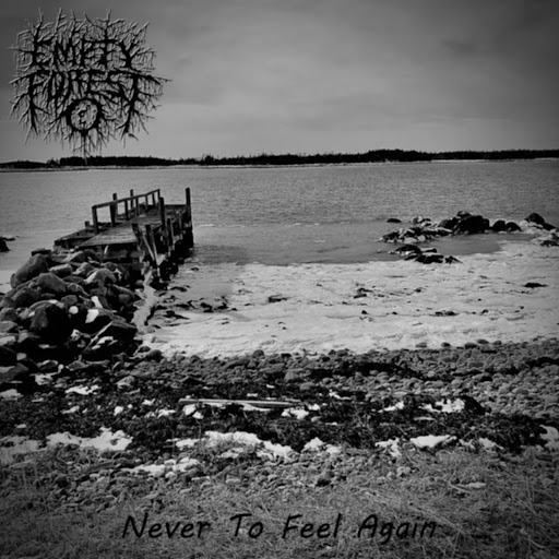 Never To Feel Again