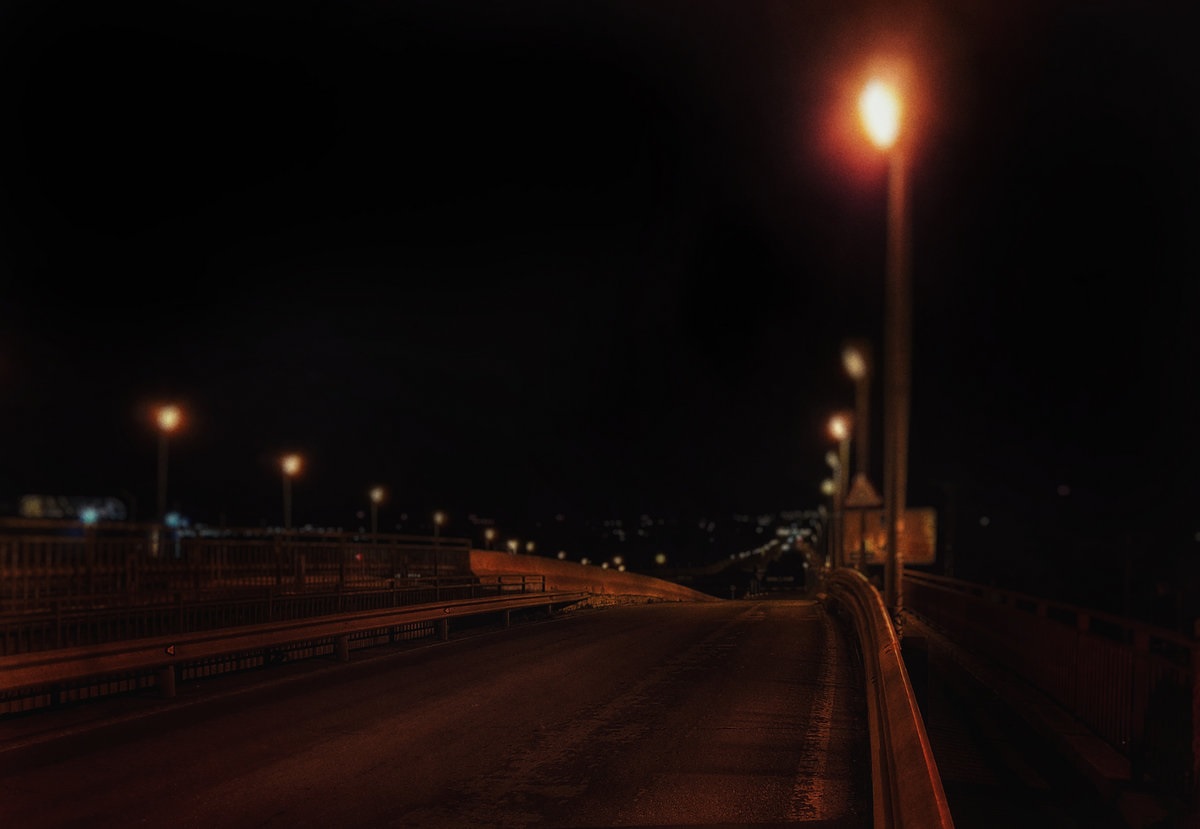 Nocturnal Talk