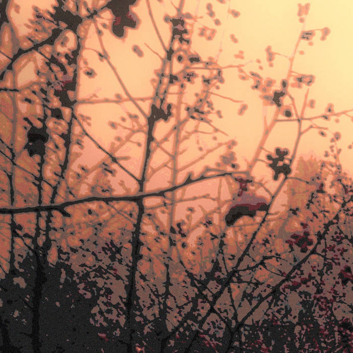 Fallen Leaves Charming