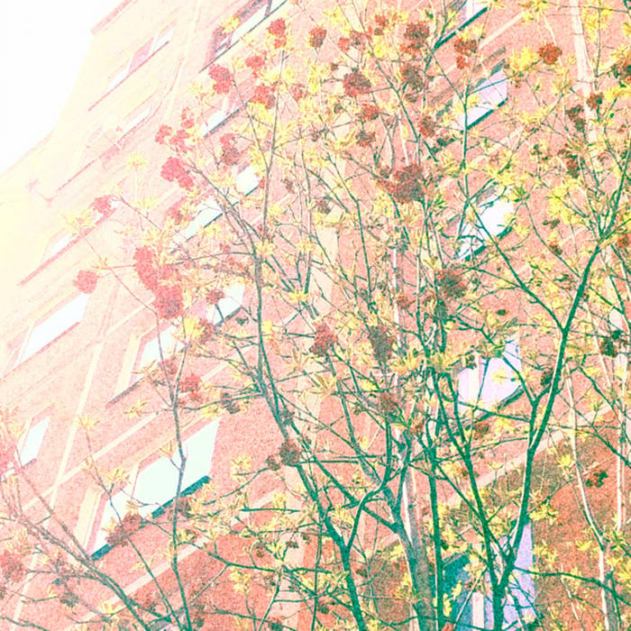 Springtime