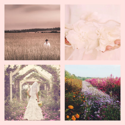 Aesthetics of a Wedding