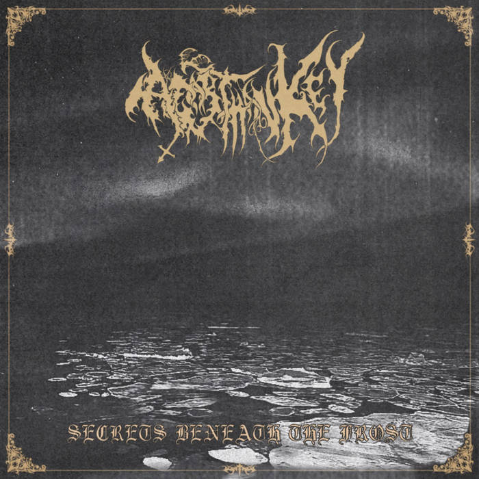 Secrets Beneath the Frost