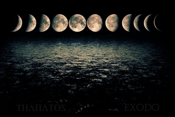 II. Exodo