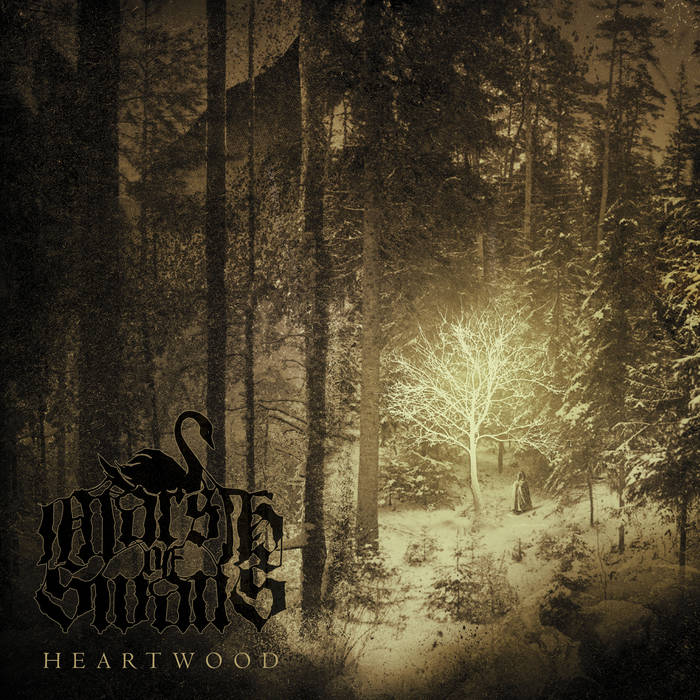 Heartwood