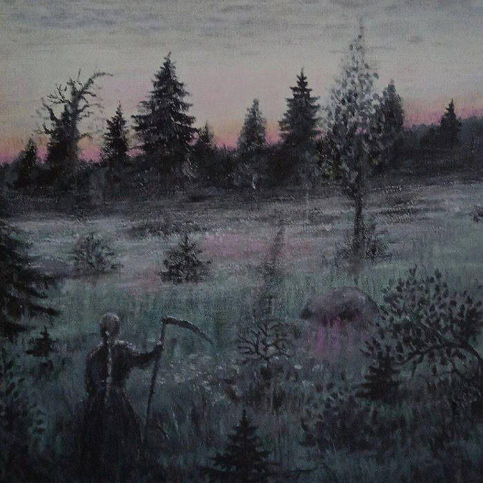 Звезды