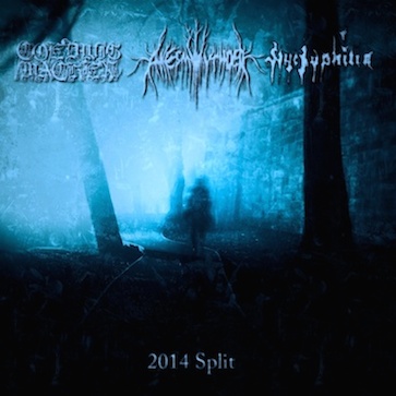 2014 Split