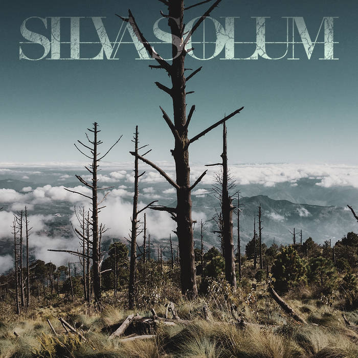 Silvasolum