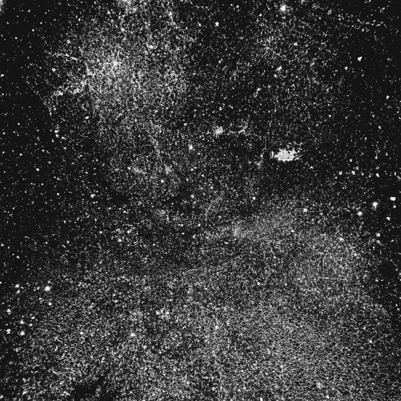 Imprisoned in a Fortress Beneath the Stars