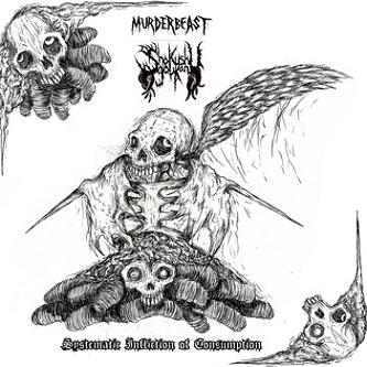 Systematic Infliction of Consumption