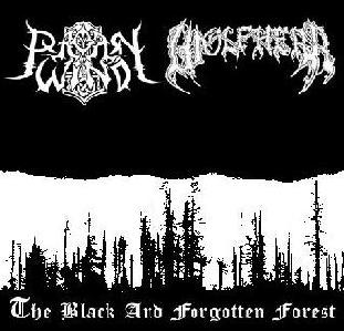 The Black and Forgotten Forest