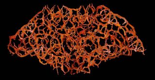Rupture of the Gastrointestinal Tract logo