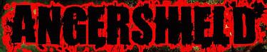 Angershield logo