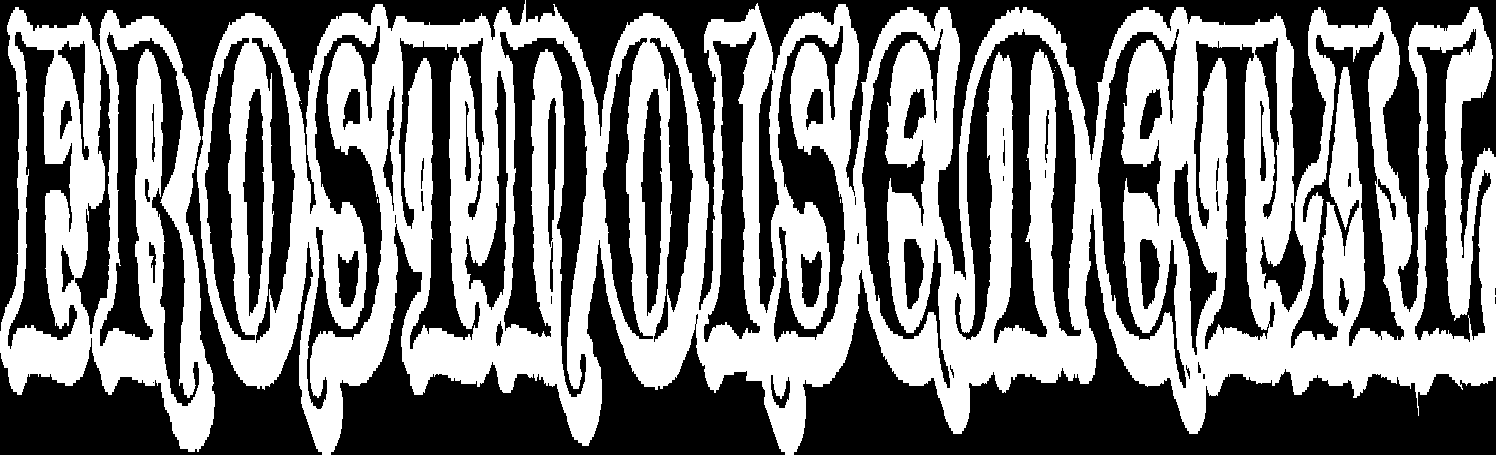 Frostnoisemetal logo