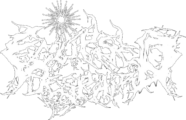 Eclipsed Despair logo