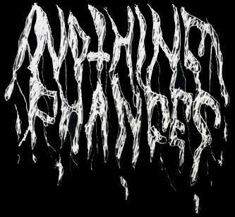 Nothing Changes logo