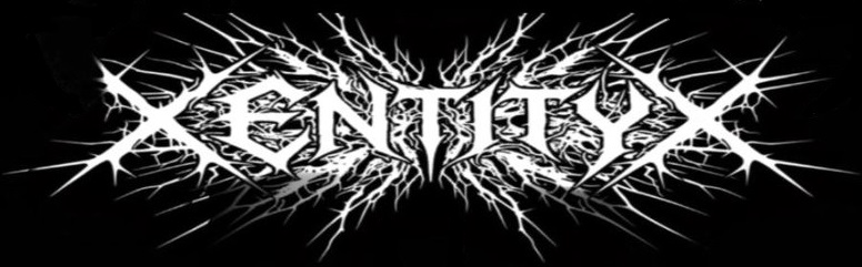 XEntityX logo