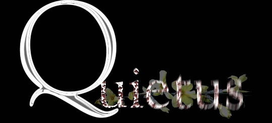 Quietus logo