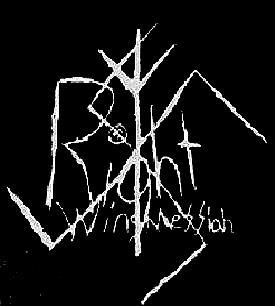 Right Wing Messiah logo