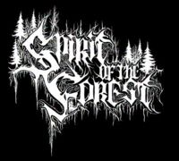 Spirit of the Forest