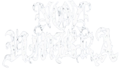 Non Umbra
