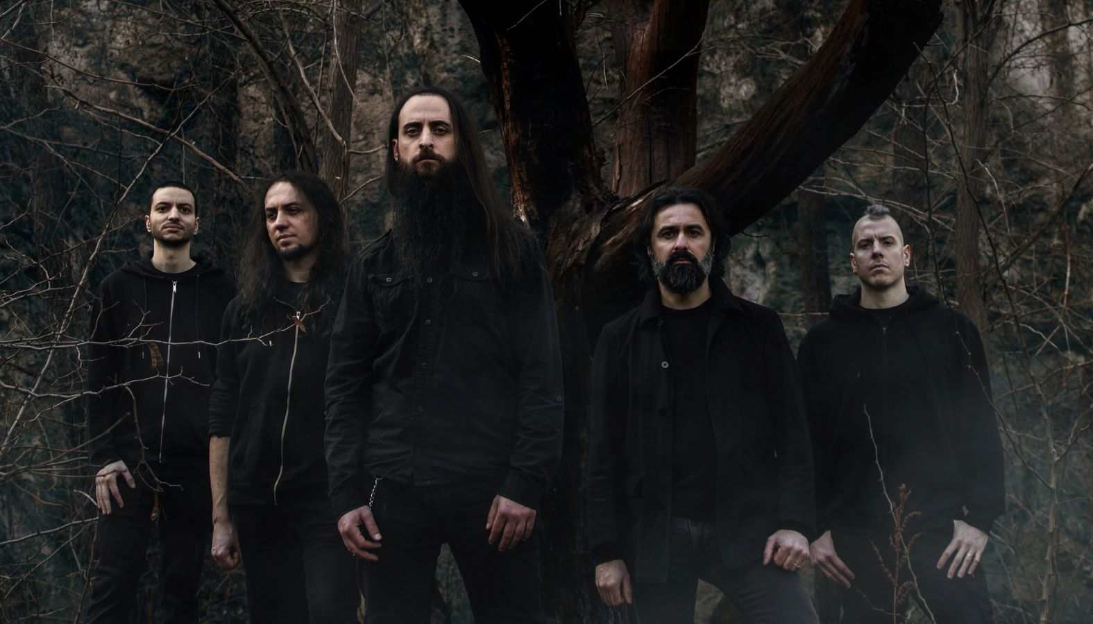 Shores of Null