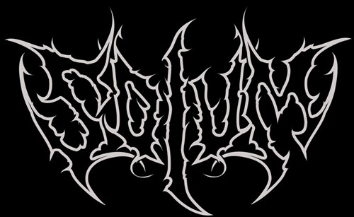 Solum logo