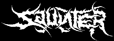 Saunter logo