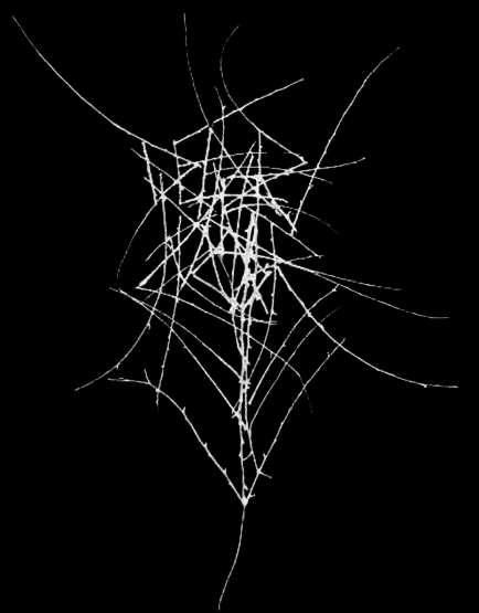 Dead Raven Choir logo