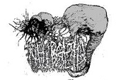 Neuralgia logo