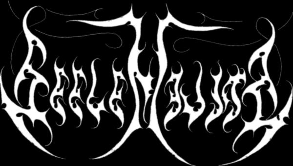 Seelenwinter logo