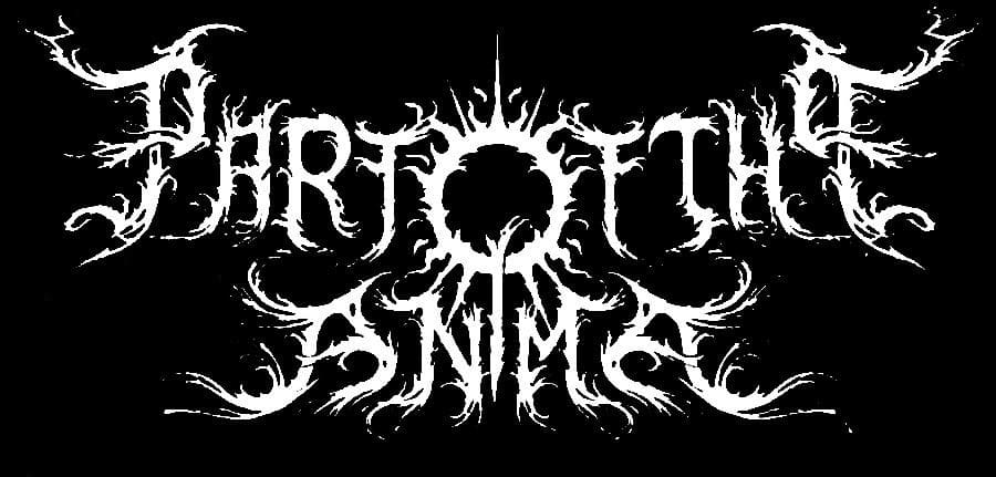 Part of the Anima logo