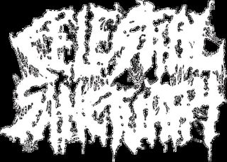 Celestial Sanctuary logo