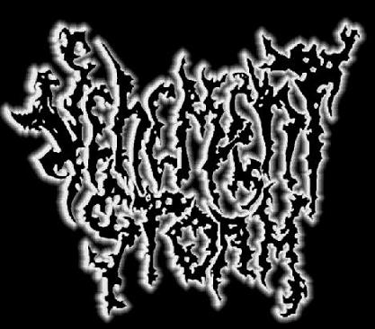 Vehement Storm logo