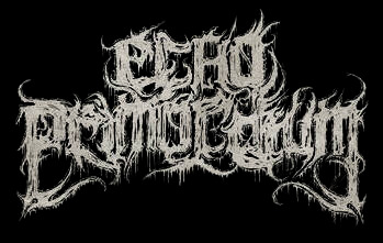 Echo Primordium