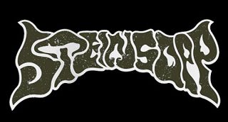 Steinsopp logo
