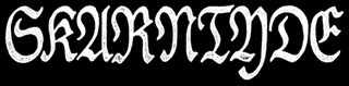 Skarntyde logo