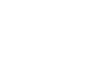 St. Mincer logo