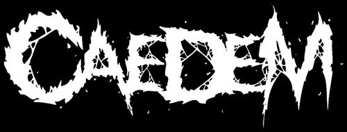 Caedem