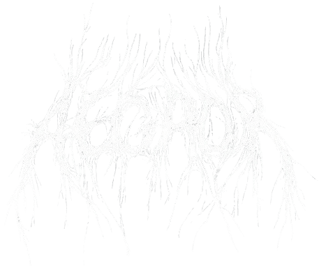 Aegror