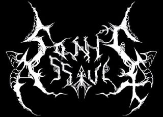 Sonic Assault logo