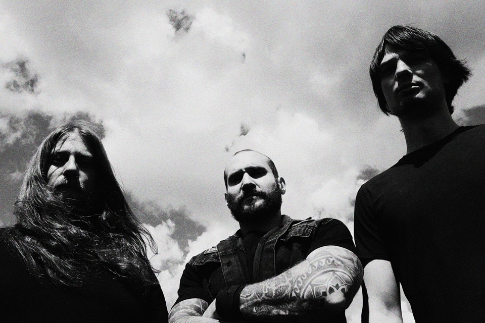 Misanthrope Monarch