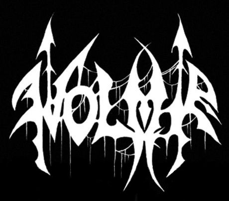 Wolmir logo
