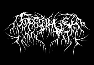 Torrid Husk logo