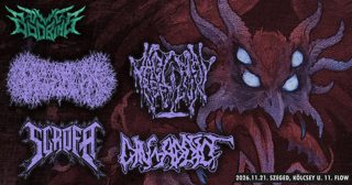 PAEDIATRICIAN / DIN-ADDICT / VAGINAL REFLUX / SCROFA @ THE FLOW